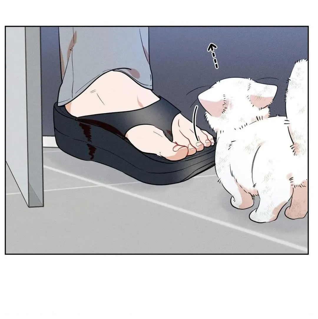 Tố Cáo Sếp Tôi Chapter 16 Trang 35