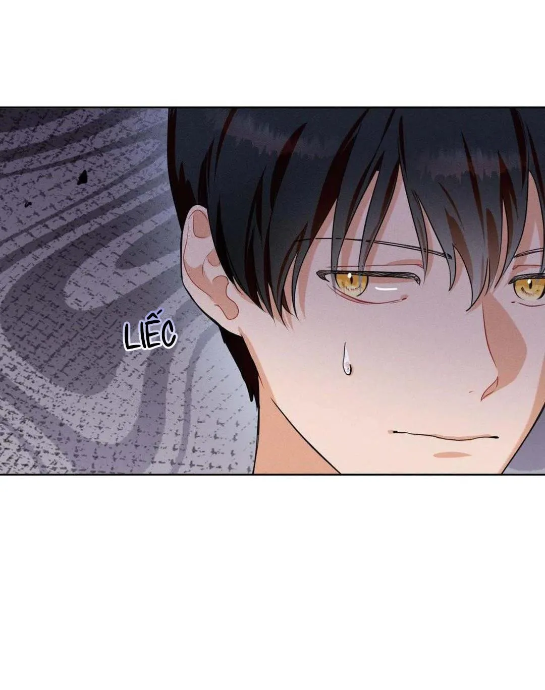 Tố Cáo Sếp Tôi Chapter 19 Trang 17