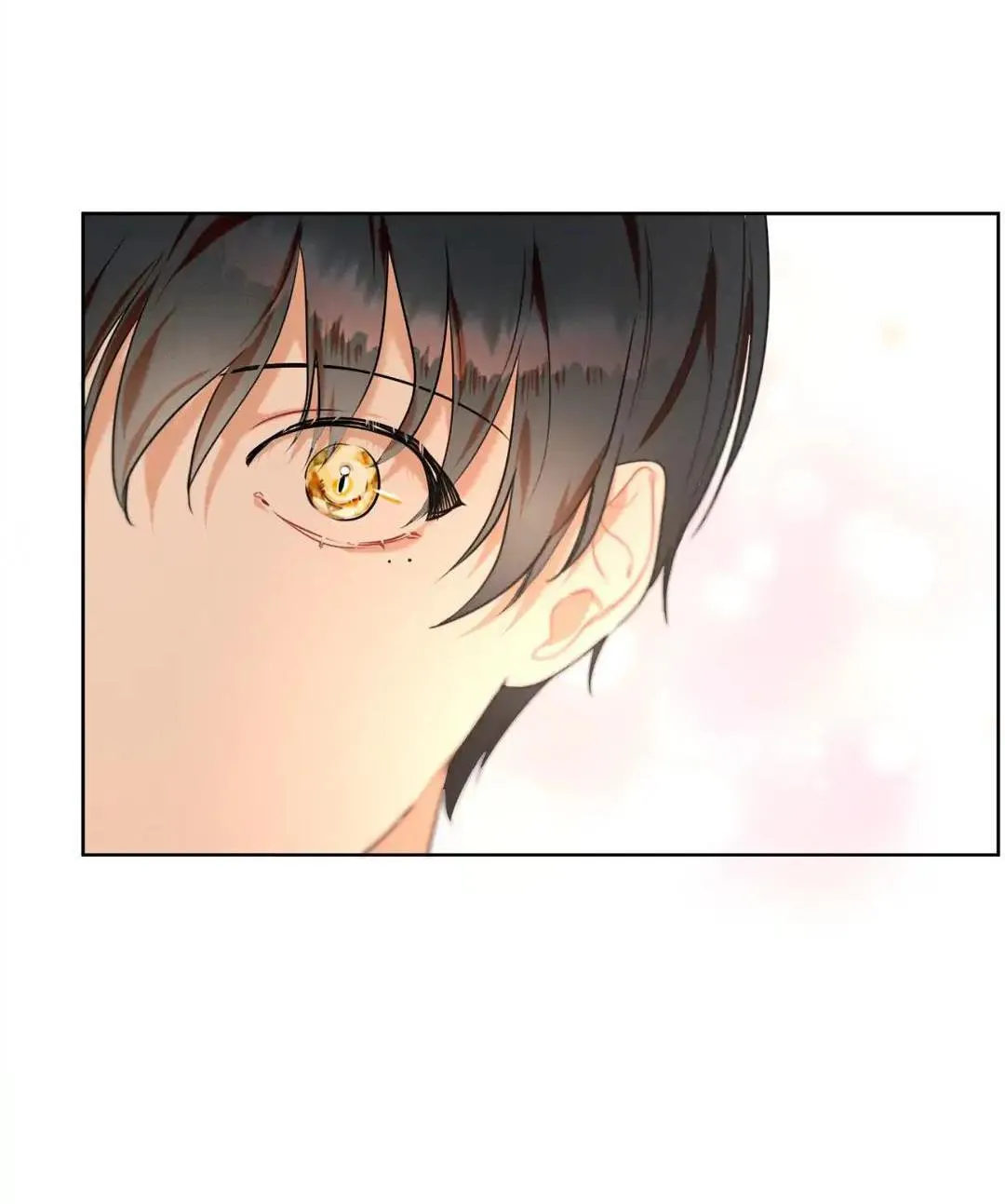 Tố Cáo Sếp Tôi Chapter 24 Trang 8