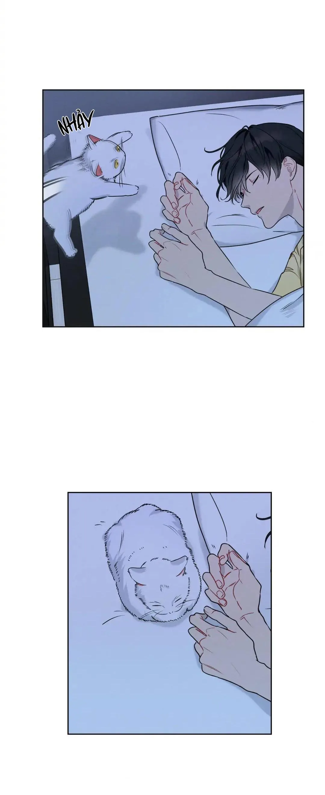 Tố Cáo Sếp Tôi Chapter 27 Trang 30