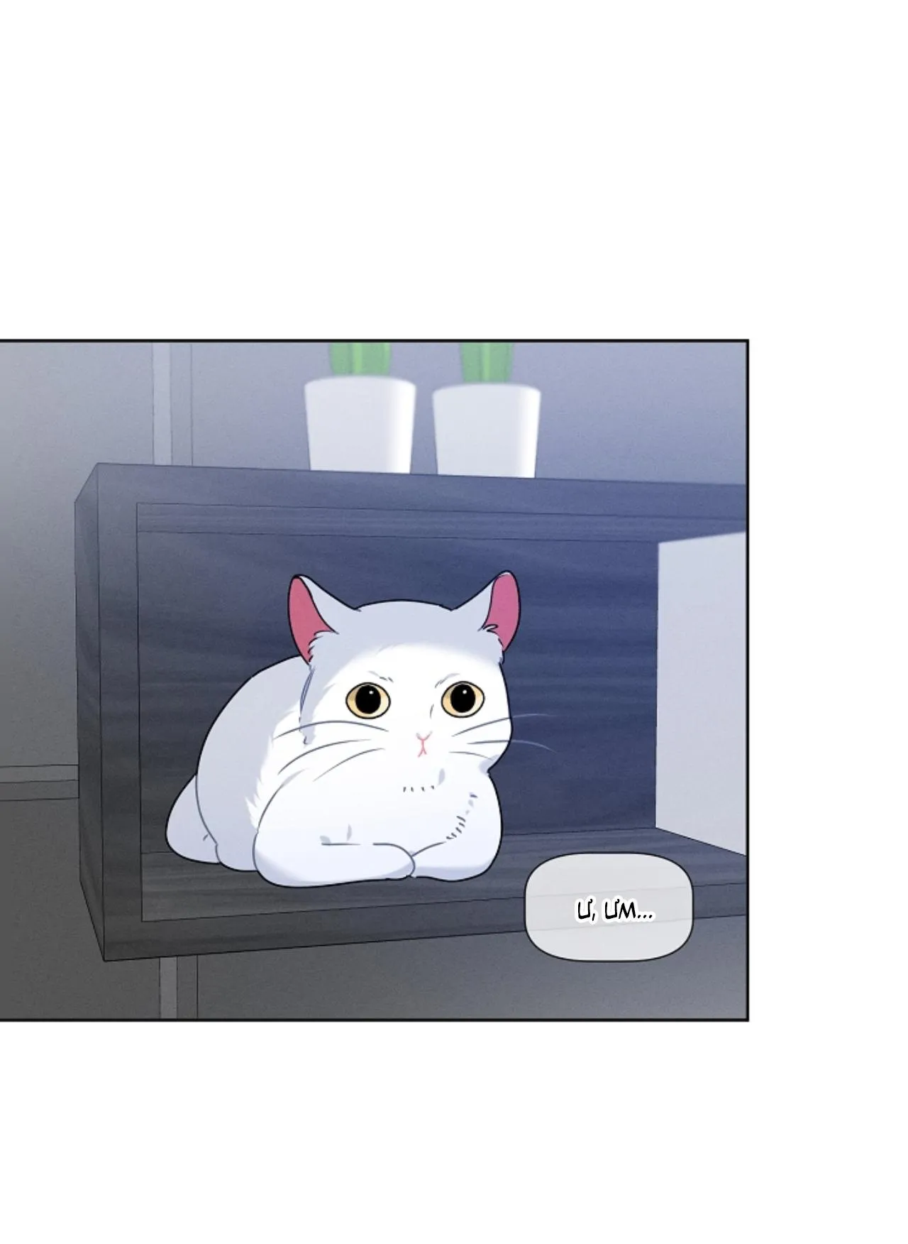 Tố Cáo Sếp Tôi Chapter 34 Trang 17