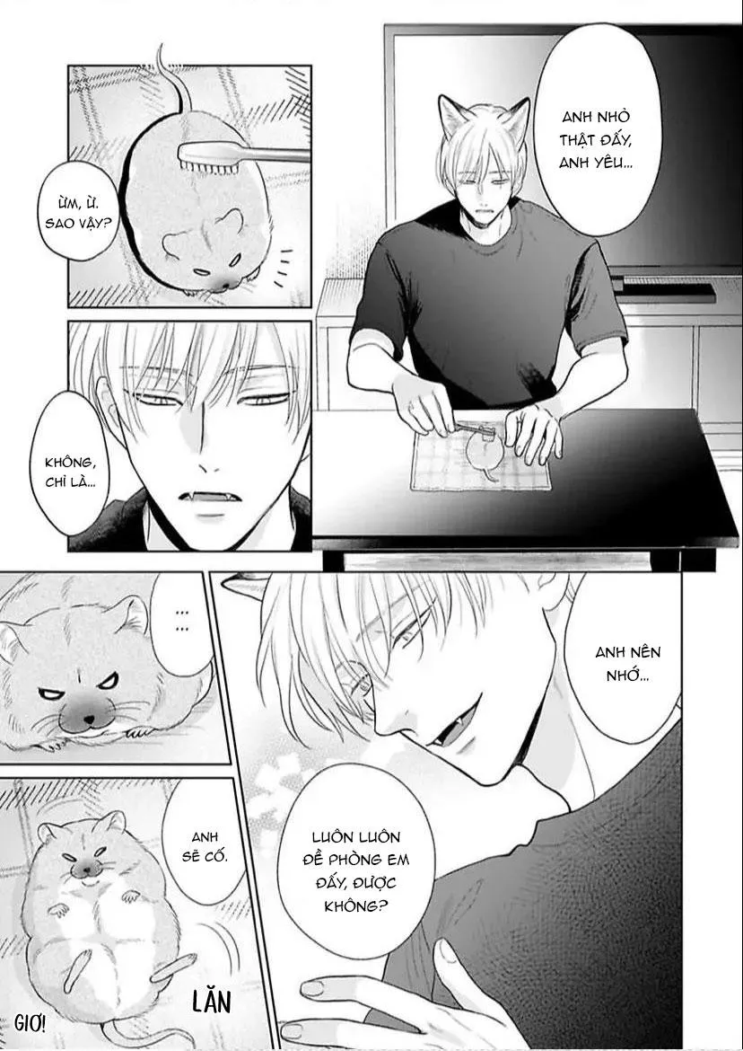Cách Khiến Một Omega Trở Nên Ngon Miệng Chapter 8 Trang 19