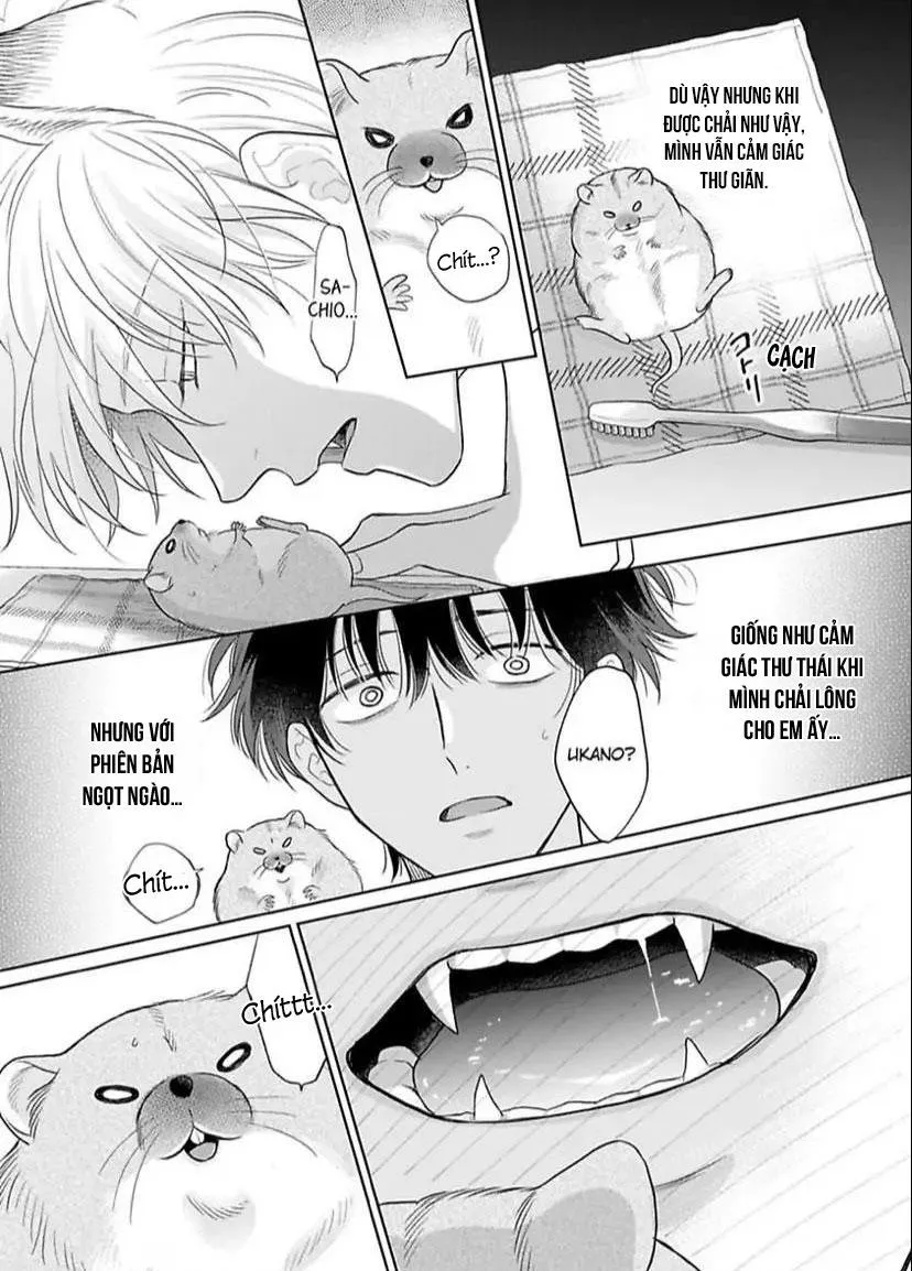 Cách Khiến Một Omega Trở Nên Ngon Miệng Chapter 8 Trang 21