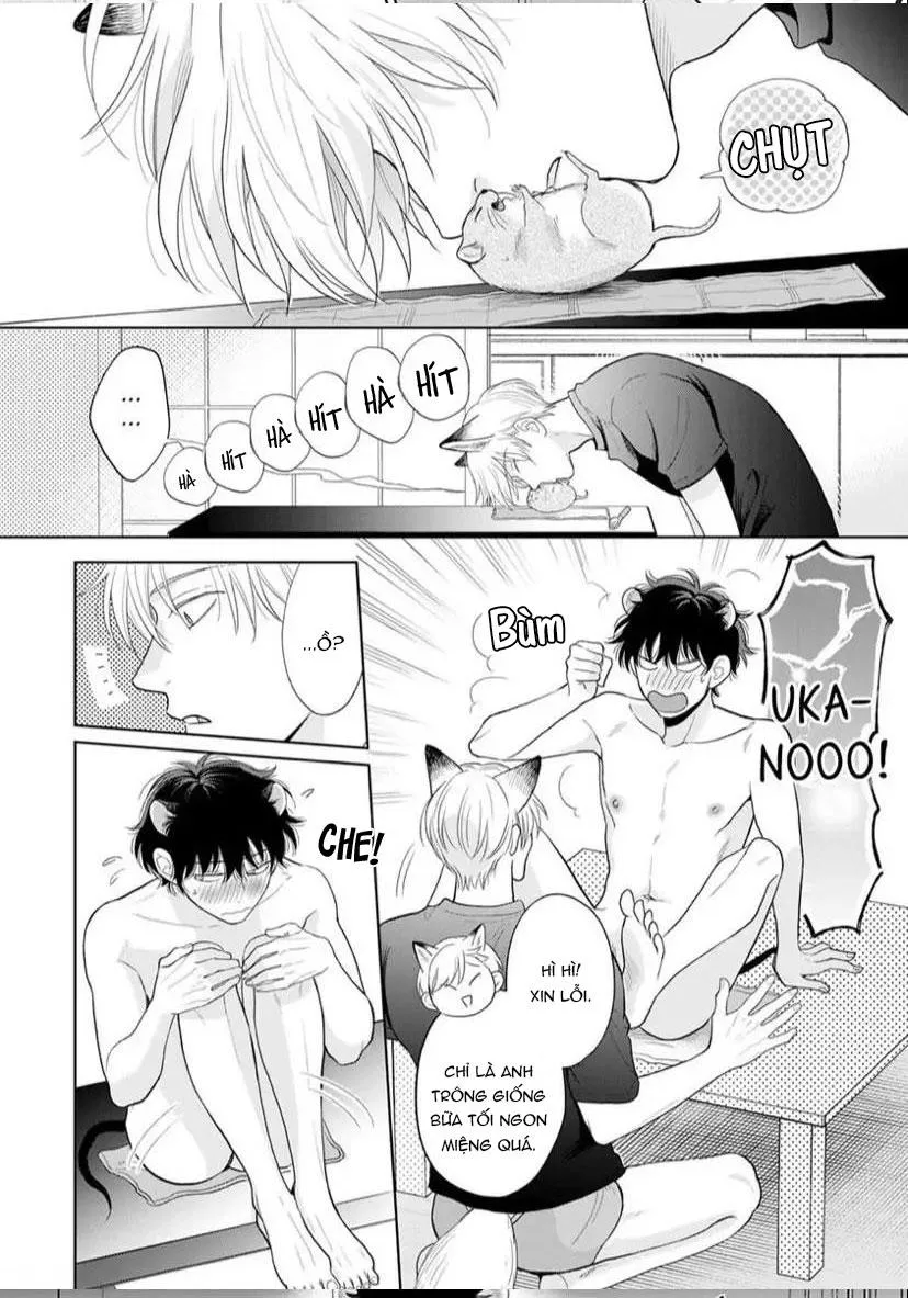 Cách Khiến Một Omega Trở Nên Ngon Miệng Chapter 8 Trang 22
