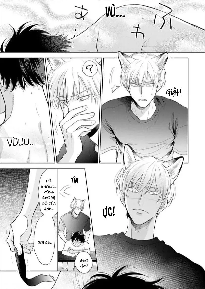 Cách Khiến Một Omega Trở Nên Ngon Miệng Chapter 8 Trang 29