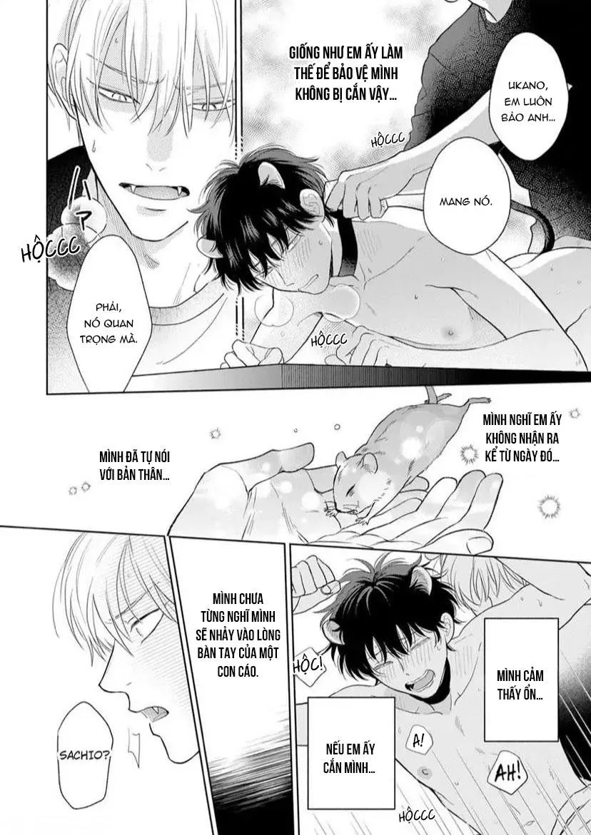 Cách Khiến Một Omega Trở Nên Ngon Miệng Chapter 8 Trang 30