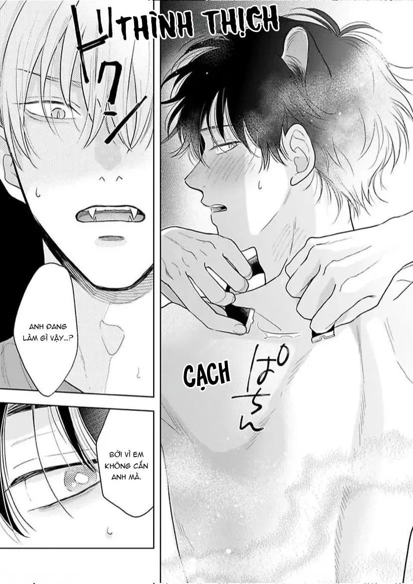 Cách Khiến Một Omega Trở Nên Ngon Miệng Chapter 8 Trang 31