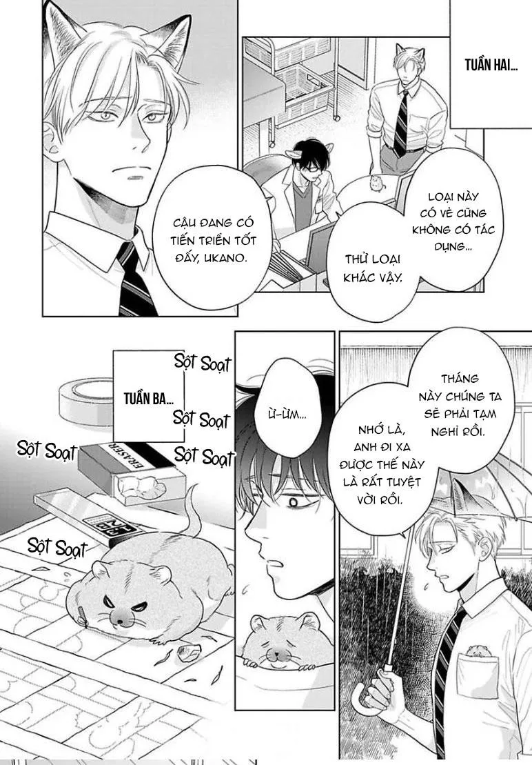 Cách Khiến Một Omega Trở Nên Ngon Miệng Chapter 10 Trang 23