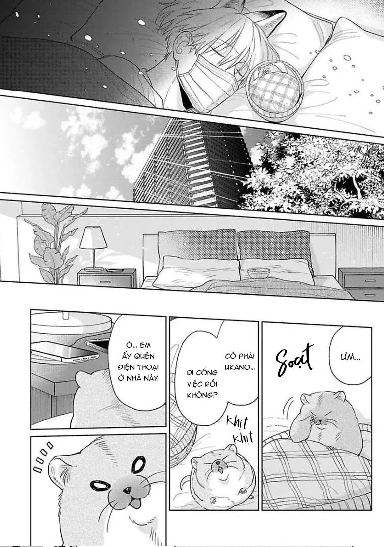 Cách Khiến Một Omega Trở Nên Ngon Miệng Chapter 10 Trang 40