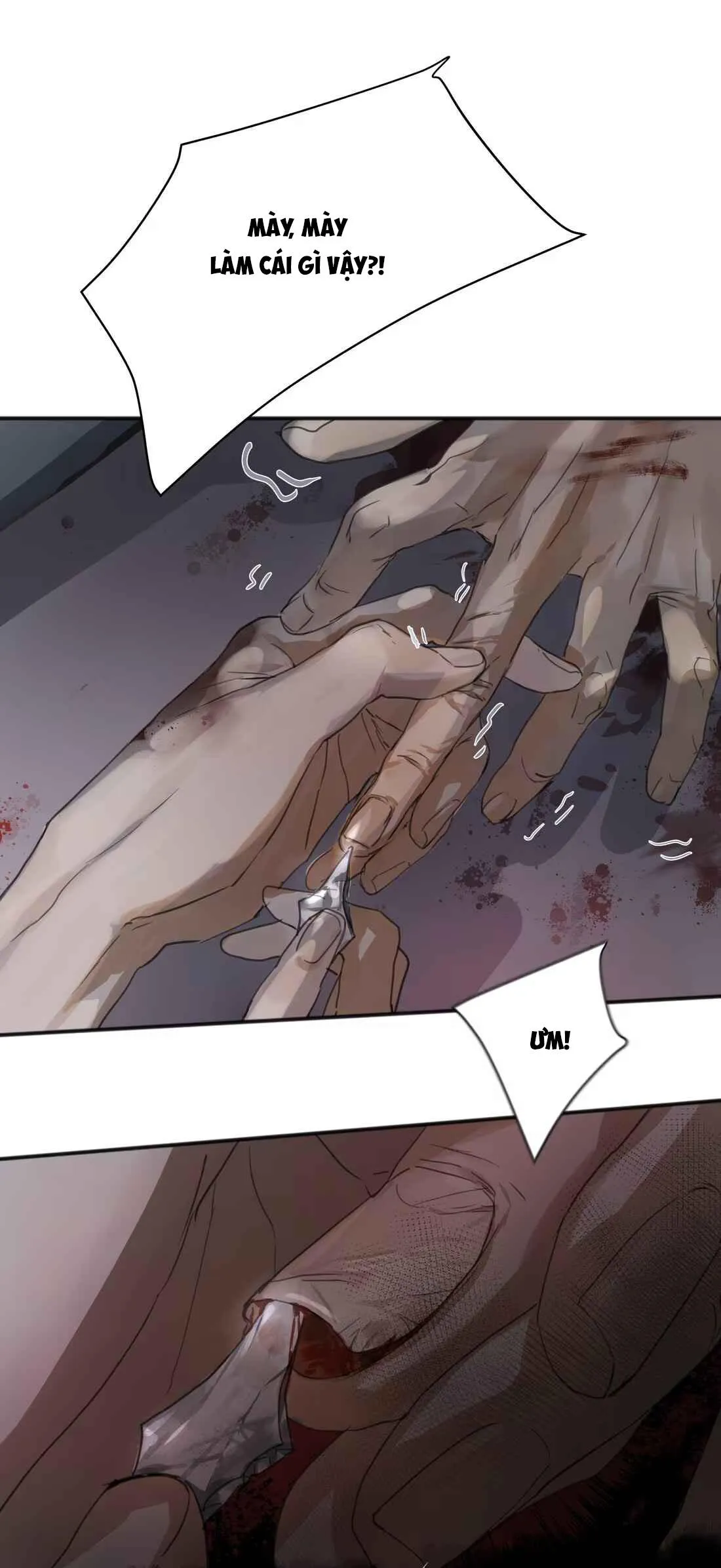 Tôi Bị Chó Điên Phát Hiện Bản Thân Là Đồng Loại Chapter 2 Trang 16