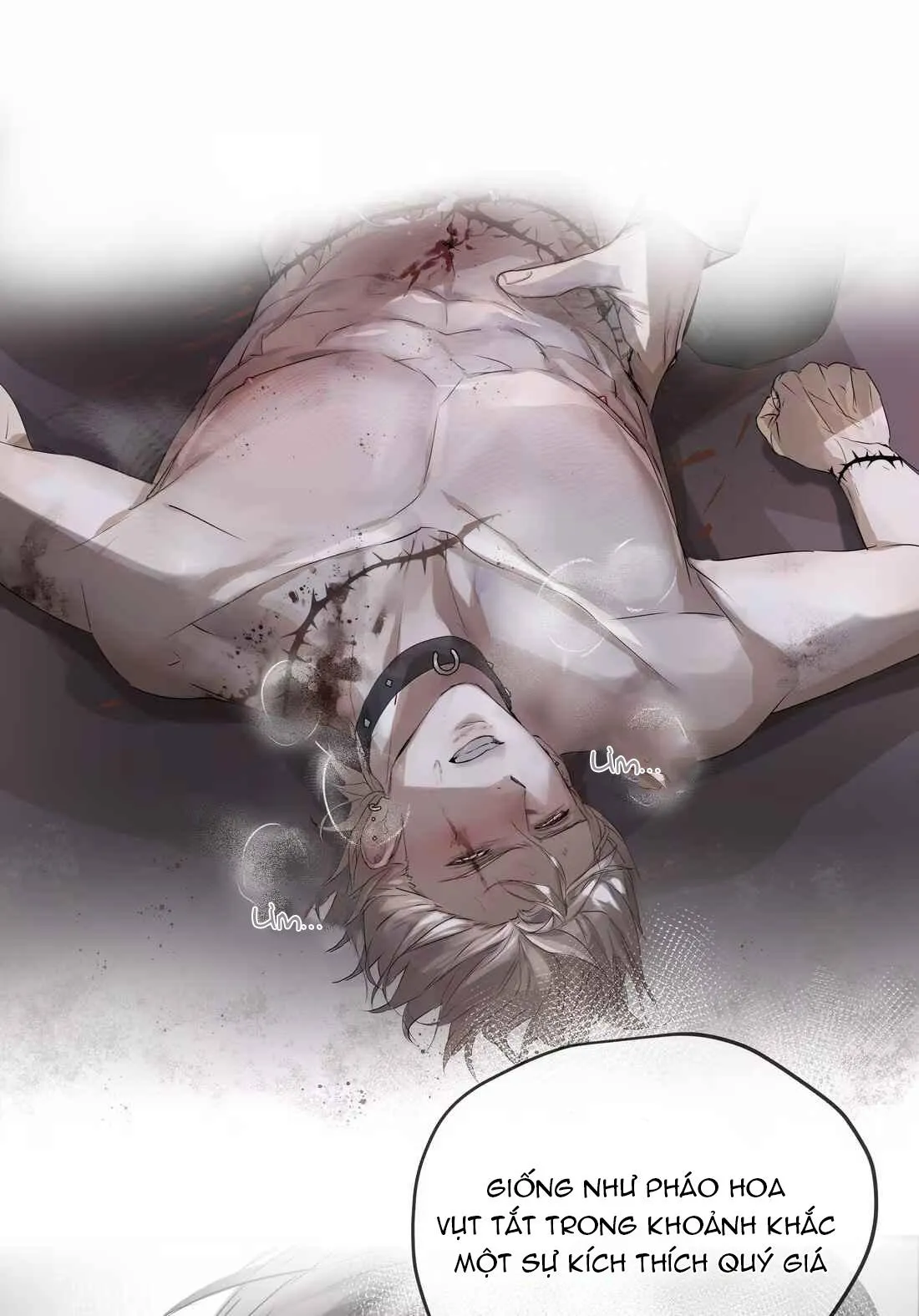 Tôi Bị Chó Điên Phát Hiện Bản Thân Là Đồng Loại Chapter 4 Trang 40