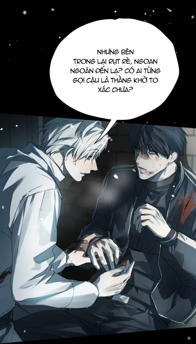 Tôi Bị Chó Điên Phát Hiện Bản Thân Là Đồng Loại Chapter 11 Trang 24