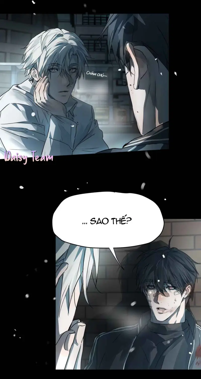 Tôi Bị Chó Điên Phát Hiện Bản Thân Là Đồng Loại Chapter 11 Trang 29