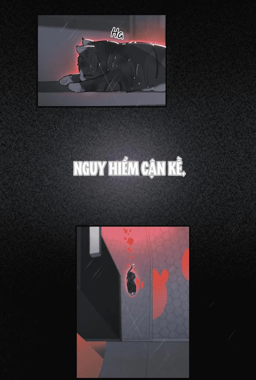 Tôi có bệnh Chapter 3 Trang 40