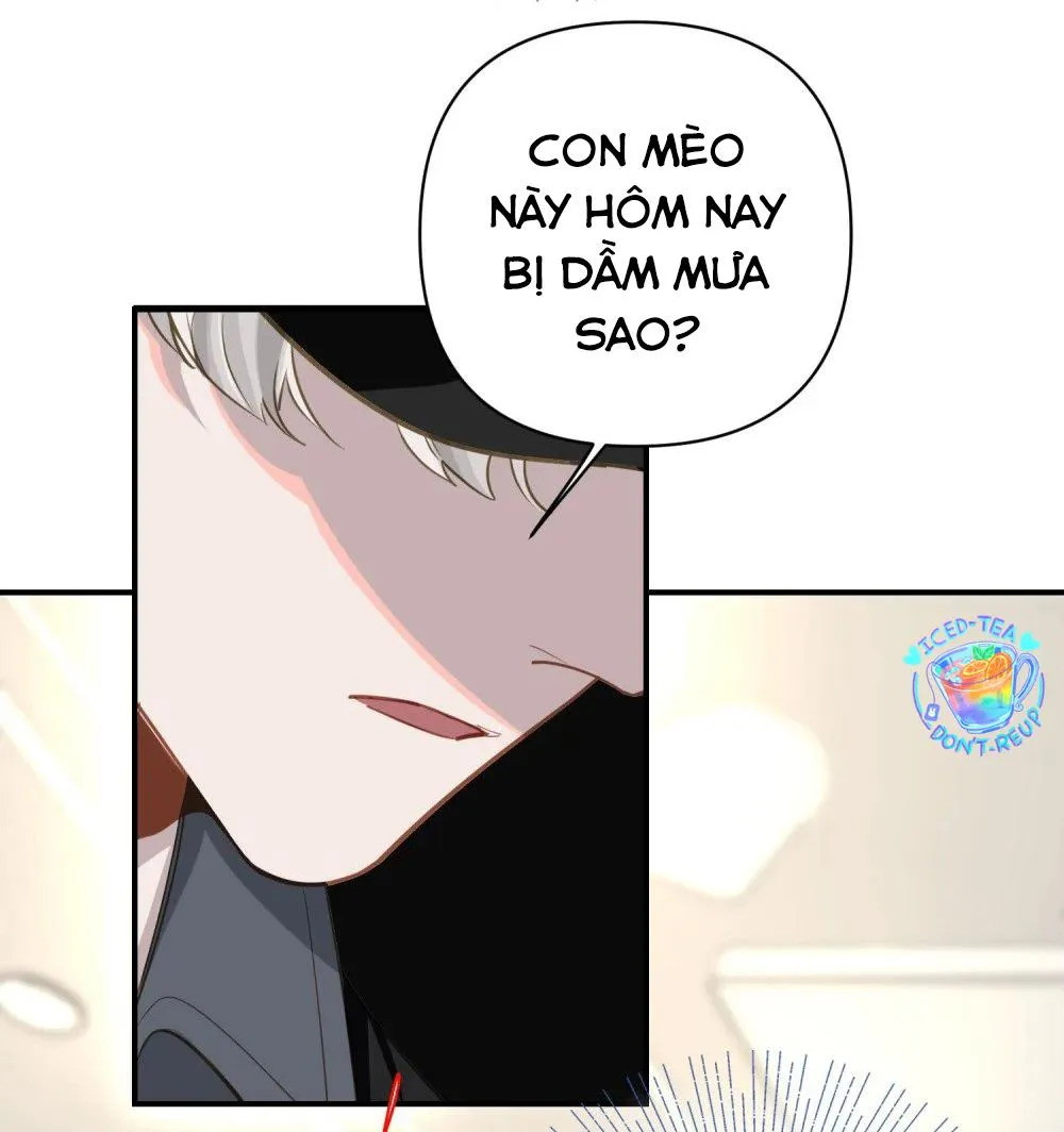 Tôi có bệnh Chapter 5 Trang 31