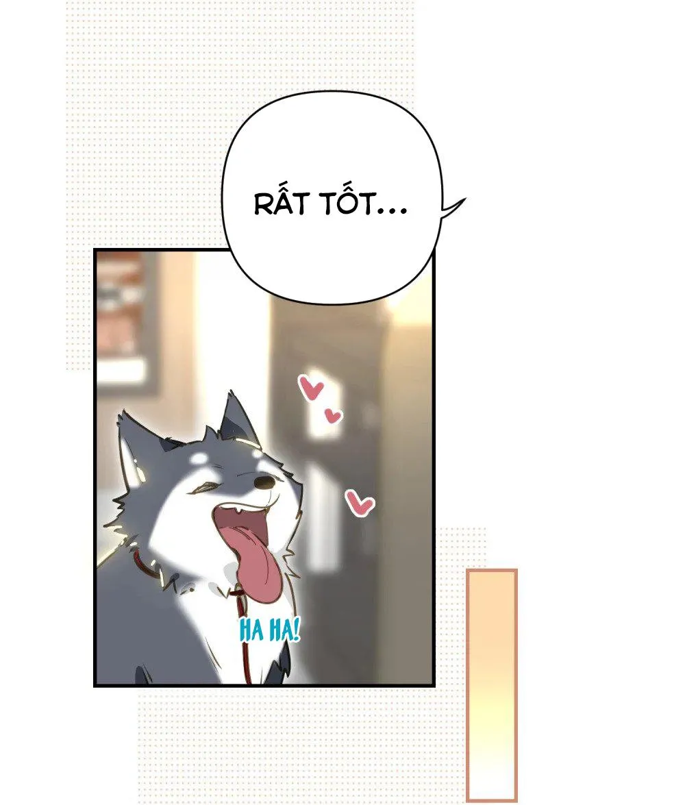 Tôi có bệnh Chapter 7 Trang 4