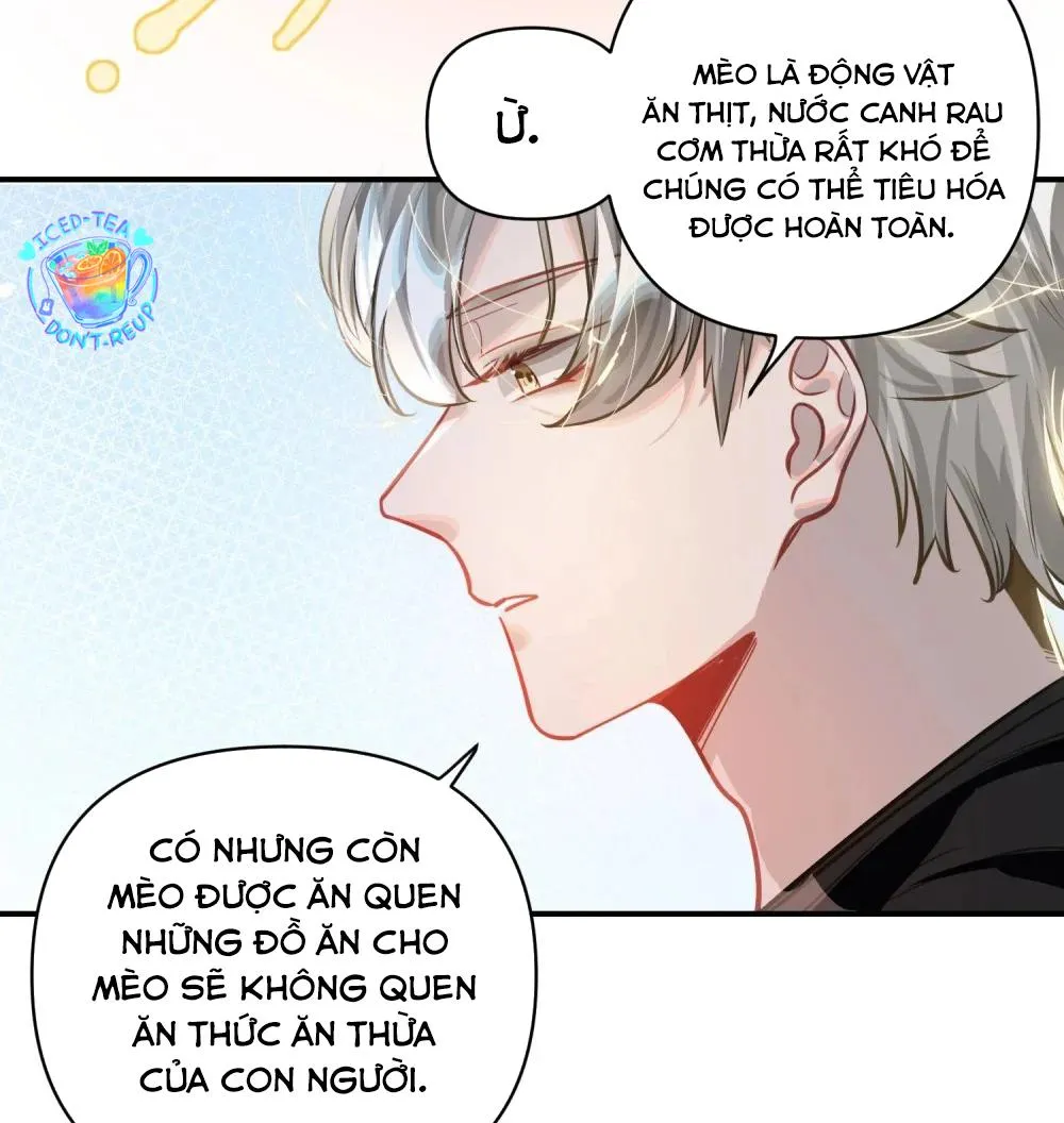 Tôi có bệnh Chapter 37 Trang 21