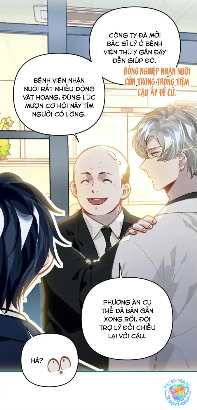 Tôi có bệnh Chapter 51 Trang 4