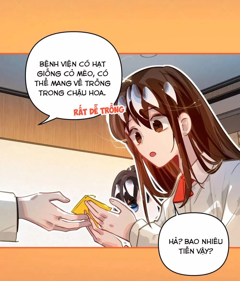 Tôi có bệnh Chapter 56 Trang 13