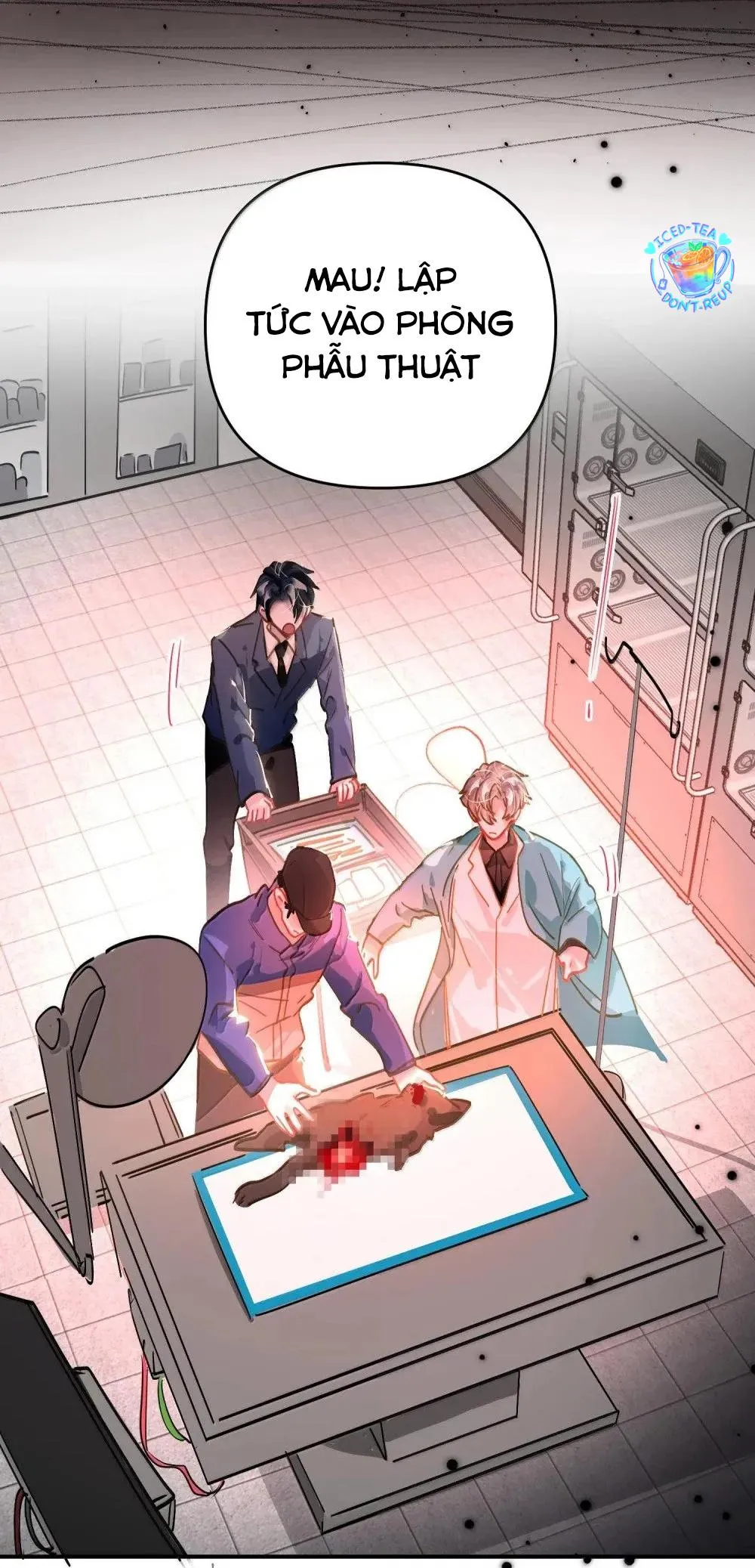 Tôi có bệnh Chapter 64 Trang 16