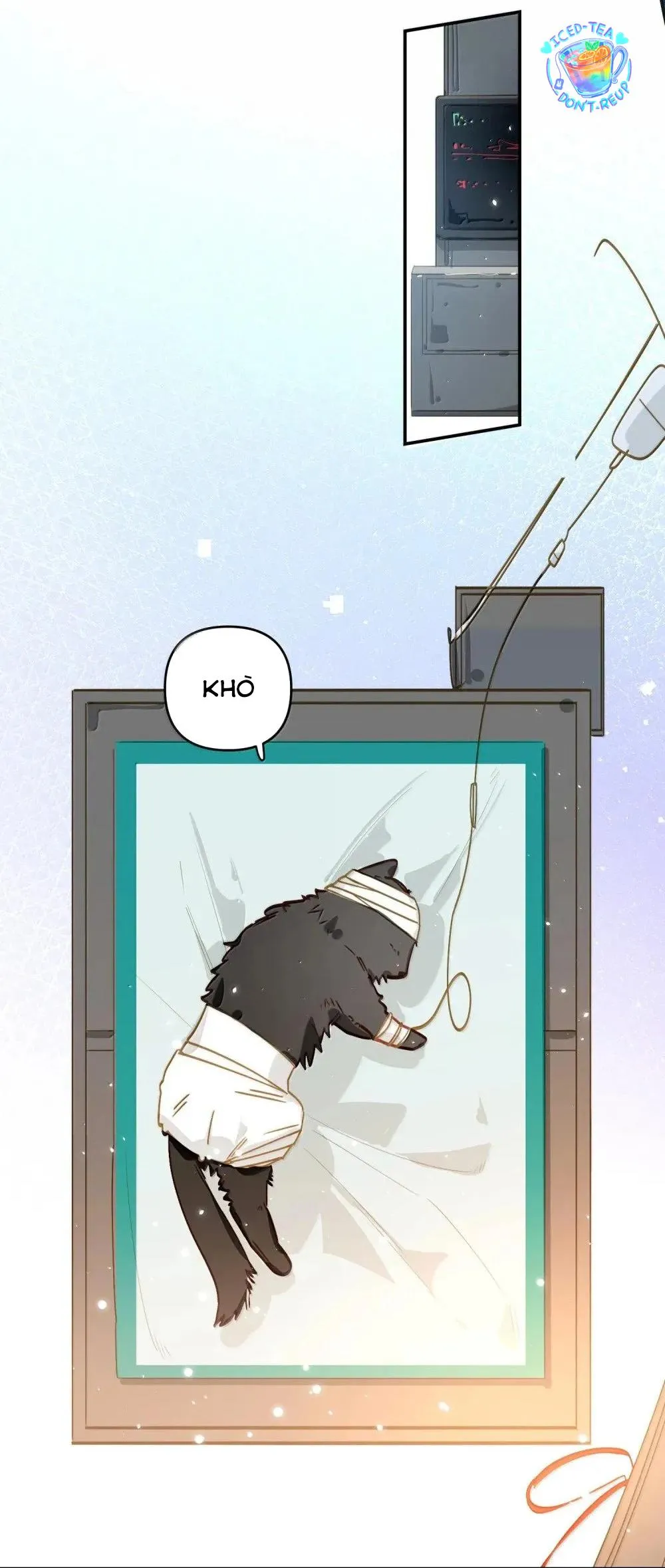 Tôi có bệnh Chapter 64 Trang 33