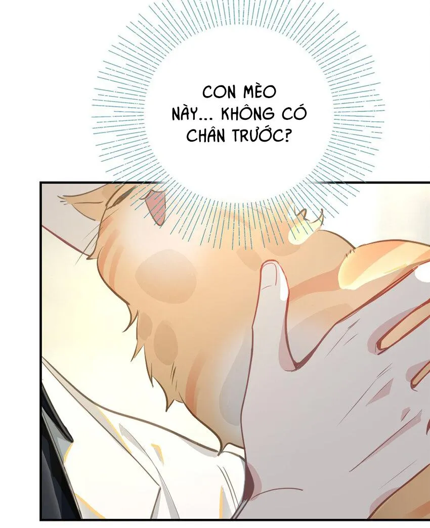 Tôi có bệnh Chapter 1 Trang 33
