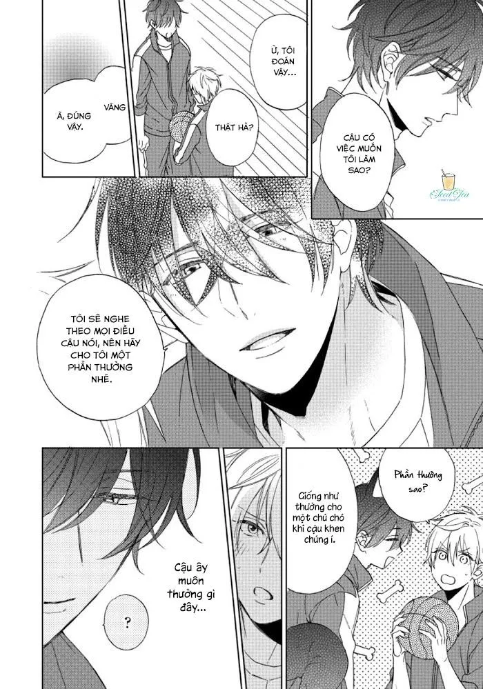 Tôi có thể ăn cậu nếu tôi trân trọng cậu không? Chapter 2 Trang 19