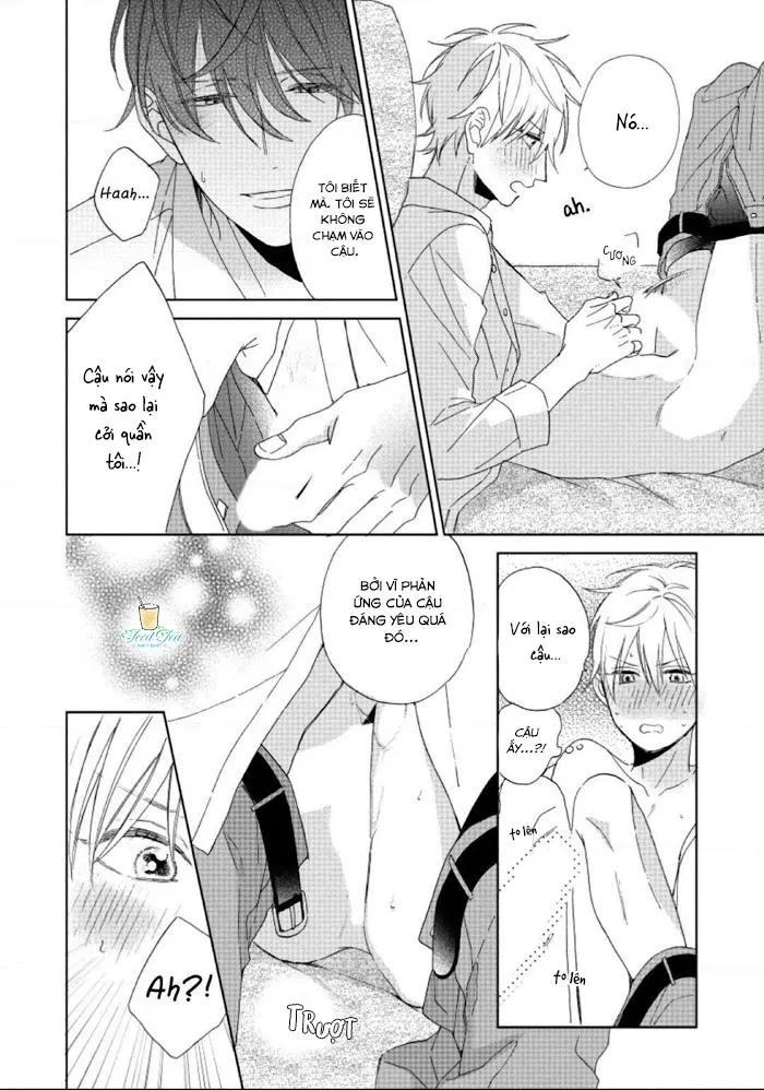 Tôi có thể ăn cậu nếu tôi trân trọng cậu không? Chapter 2 Trang 31