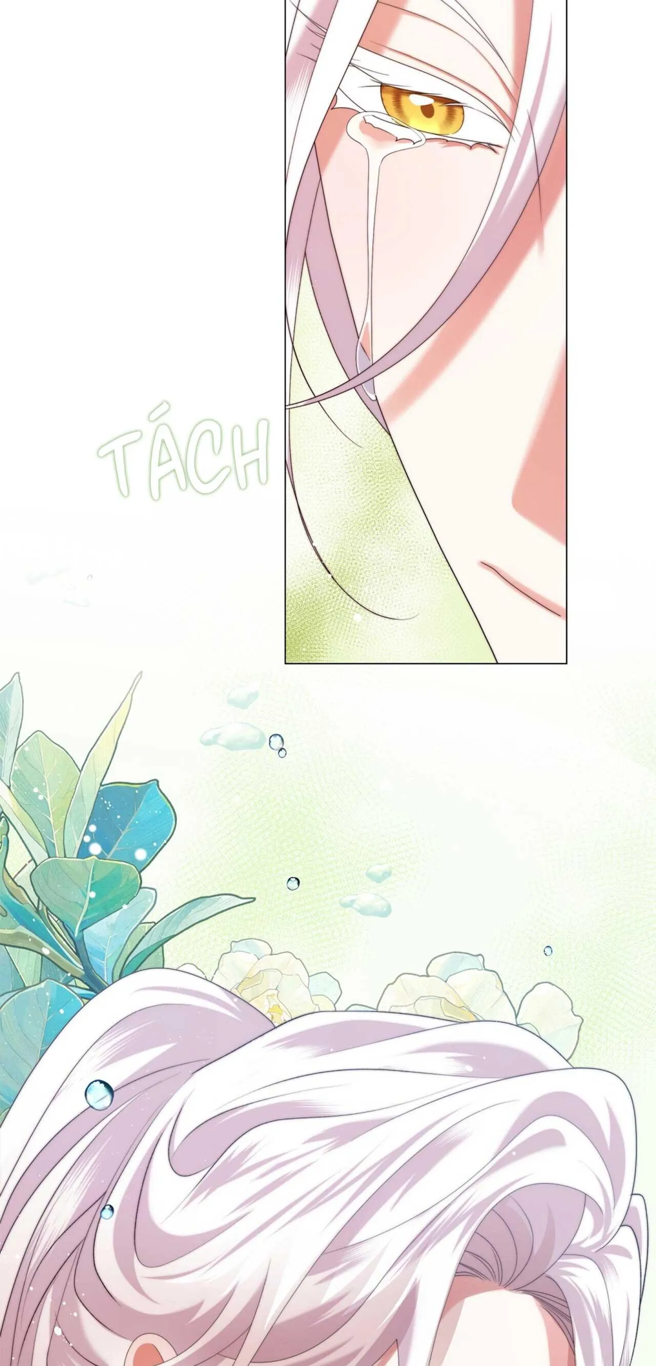 Tôi đã nuôi dạy thủ lĩnh giáo phái ác ma Chapter 44 Trang 47