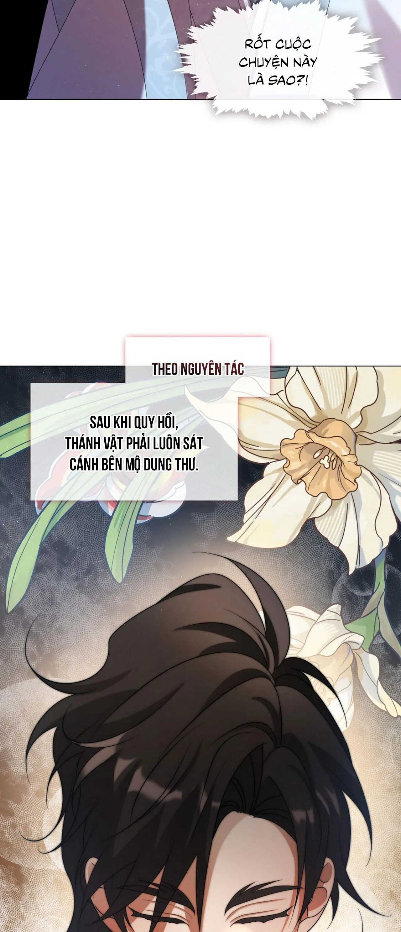 Tôi đã nuôi dạy thủ lĩnh giáo phái ác ma Chapter 46 Trang 5