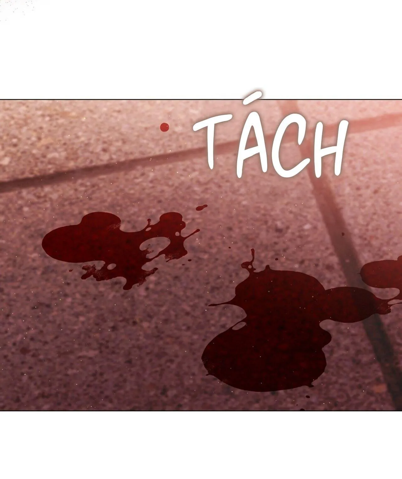 Tôi đã nuôi dạy thủ lĩnh giáo phái ác ma Chapter 67 Trang 51