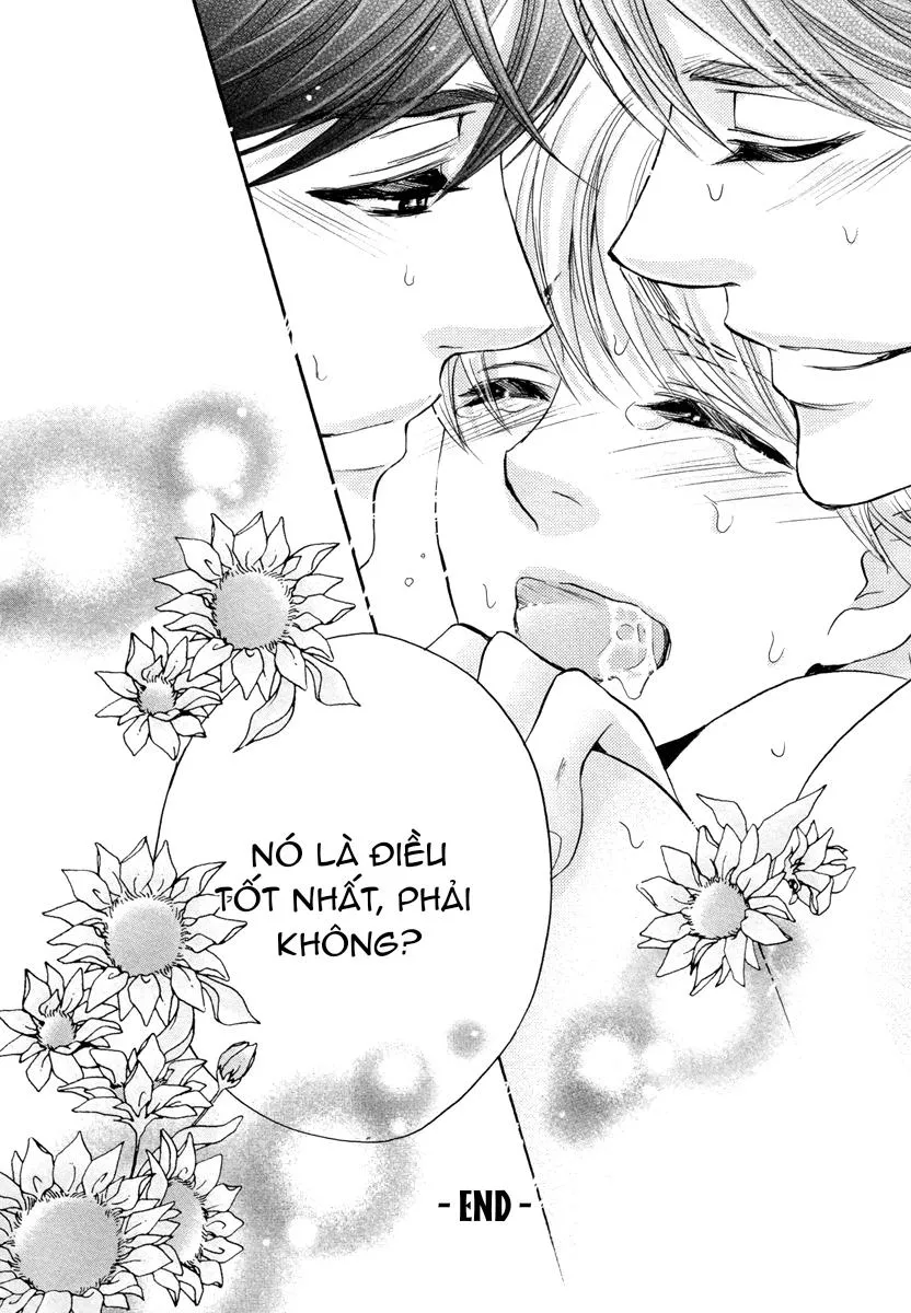 Tôi Đang Bị Hai Người Con Trai Nhắm Đến Chapter 6 Trang 11