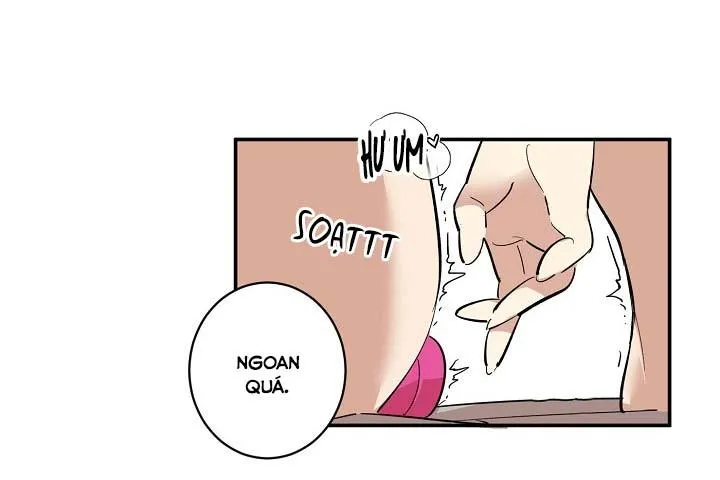 TÔI ĐẾN ĐÂY, ĐẾN NGAY ĐÂY! Chapter 1 Trang 41