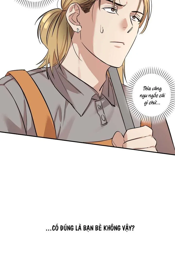 TÔI ĐẾN ĐÂY, ĐẾN NGAY ĐÂY! Chapter 3 Trang 11