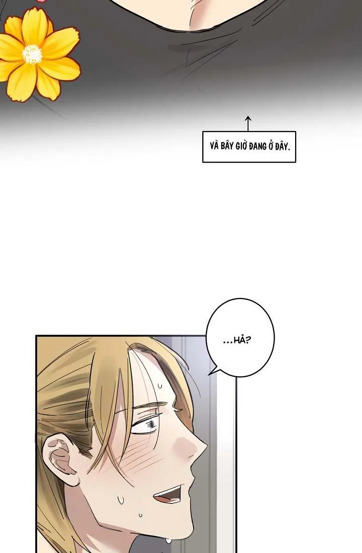 TÔI ĐẾN ĐÂY, ĐẾN NGAY ĐÂY! Chapter 3 Trang 32