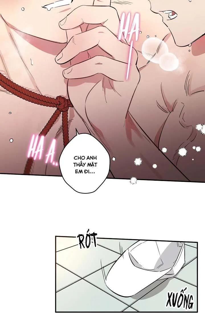 TÔI ĐẾN ĐÂY, ĐẾN NGAY ĐÂY! Chapter 4 Trang 31