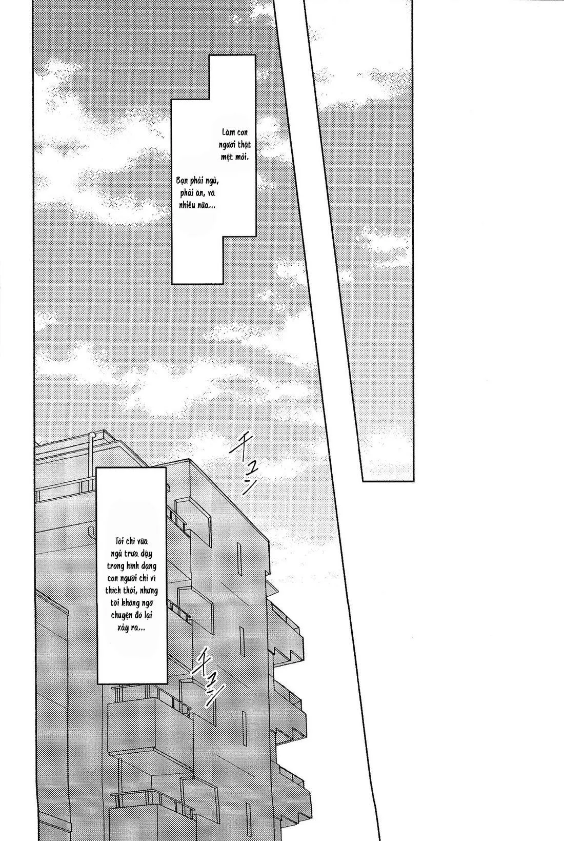 TÔI KHÔNG RĂM CÁC BẠN RĂM Chapter 5 Trang 3