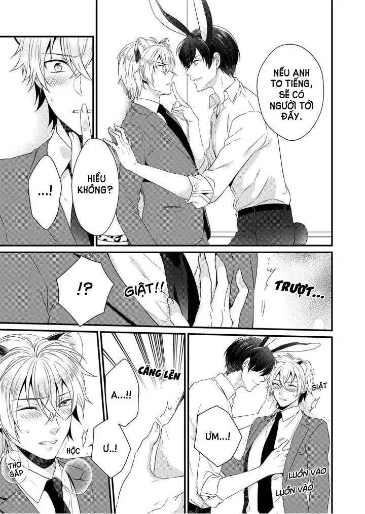 Tôi Không Thể Tin Được Tôi Bị Một Con Thỏ Ăn Cỏ Ăn Thịt! Chapter 2 Trang 12