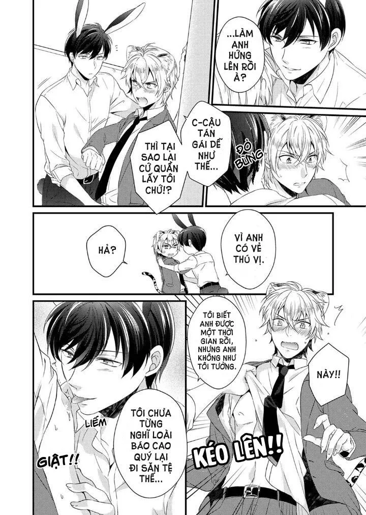 Tôi Không Thể Tin Được Tôi Bị Một Con Thỏ Ăn Cỏ Ăn Thịt! Chapter 2 Trang 13