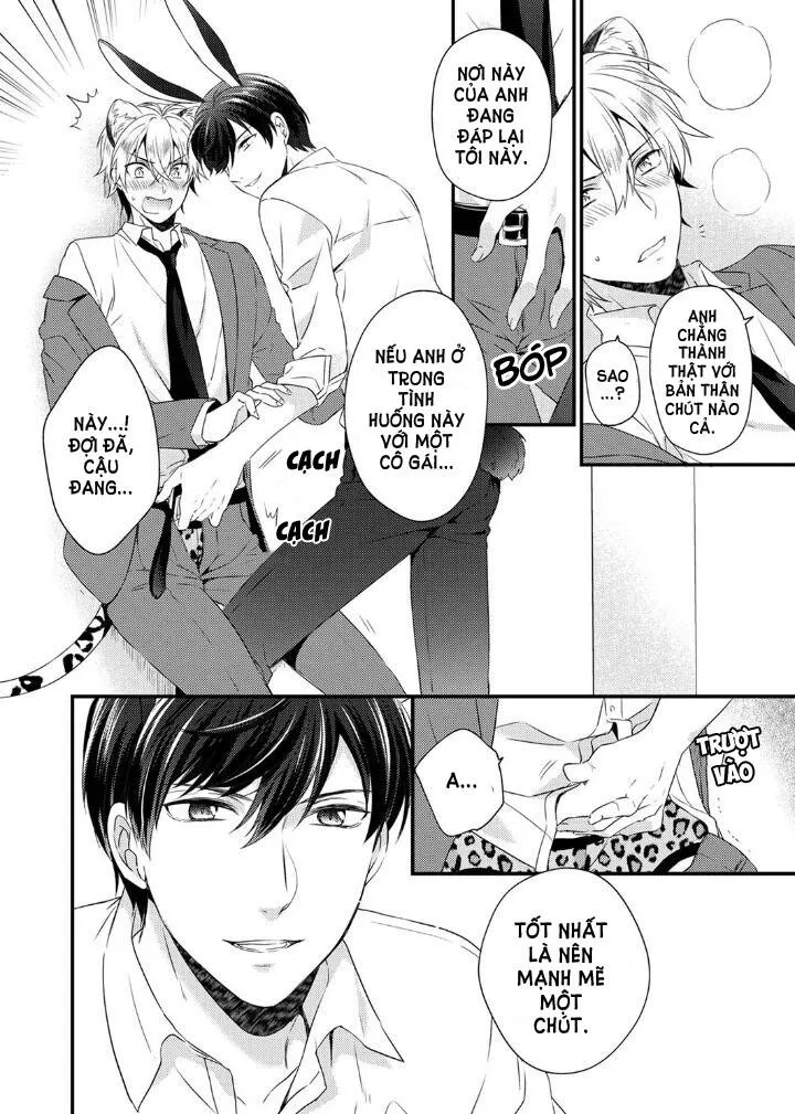 Tôi Không Thể Tin Được Tôi Bị Một Con Thỏ Ăn Cỏ Ăn Thịt! Chapter 2 Trang 15