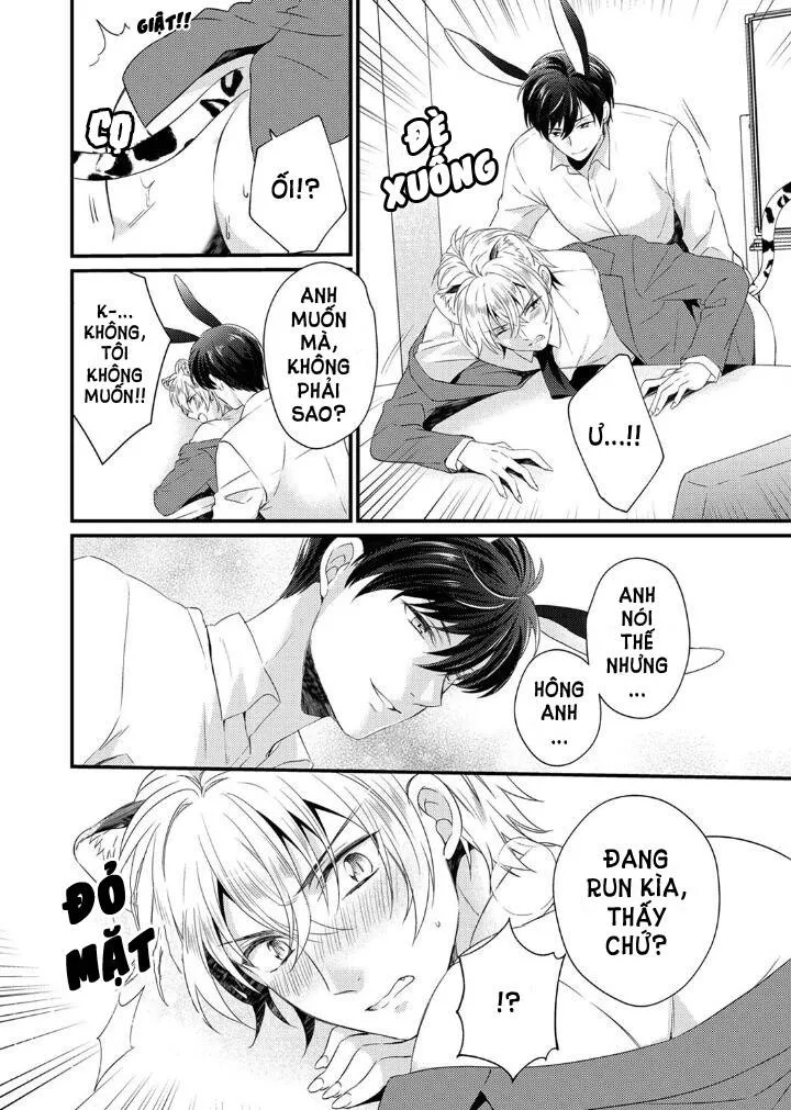 Tôi Không Thể Tin Được Tôi Bị Một Con Thỏ Ăn Cỏ Ăn Thịt! Chapter 2 Trang 17