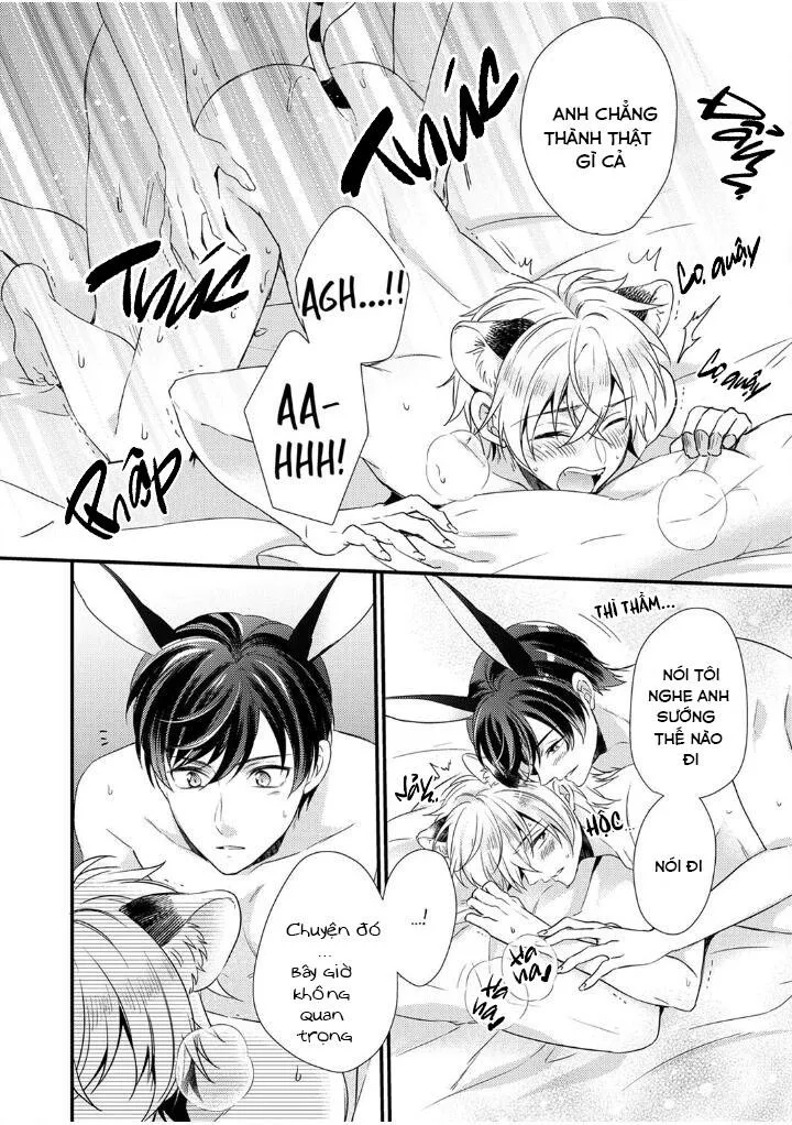 Tôi Không Thể Tin Được Tôi Bị Một Con Thỏ Ăn Cỏ Ăn Thịt! Chapter 5 Trang 5