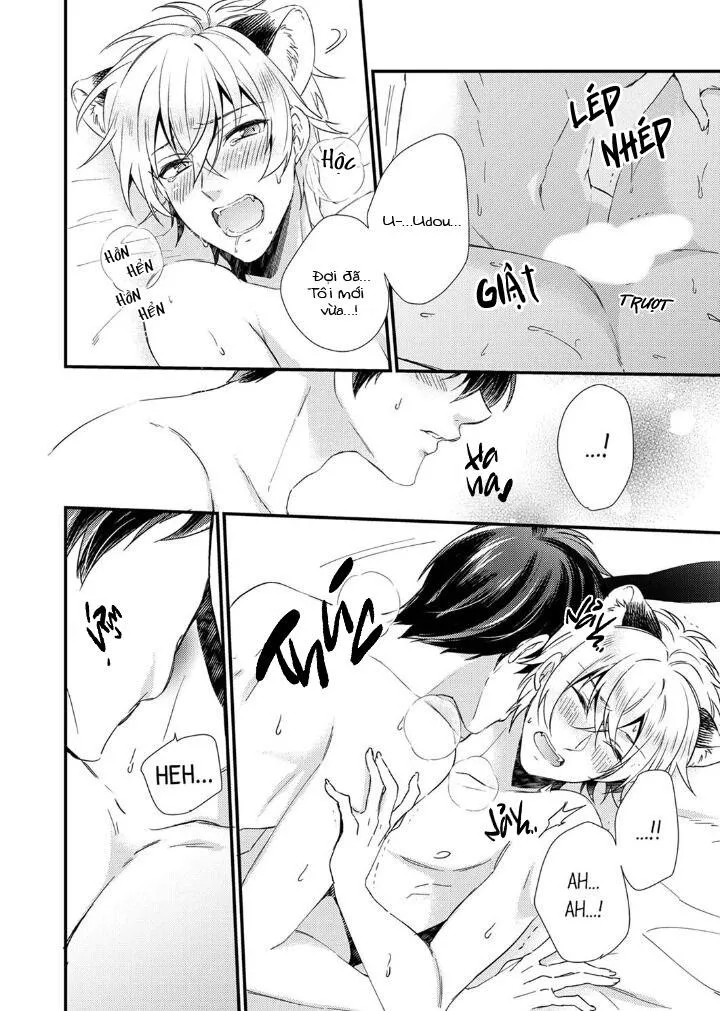 Tôi Không Thể Tin Được Tôi Bị Một Con Thỏ Ăn Cỏ Ăn Thịt! Chapter 5 Trang 9