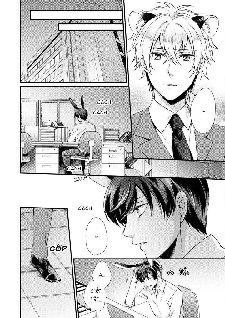 Tôi Không Thể Tin Được Tôi Bị Một Con Thỏ Ăn Cỏ Ăn Thịt! Chapter 6 Trang 4