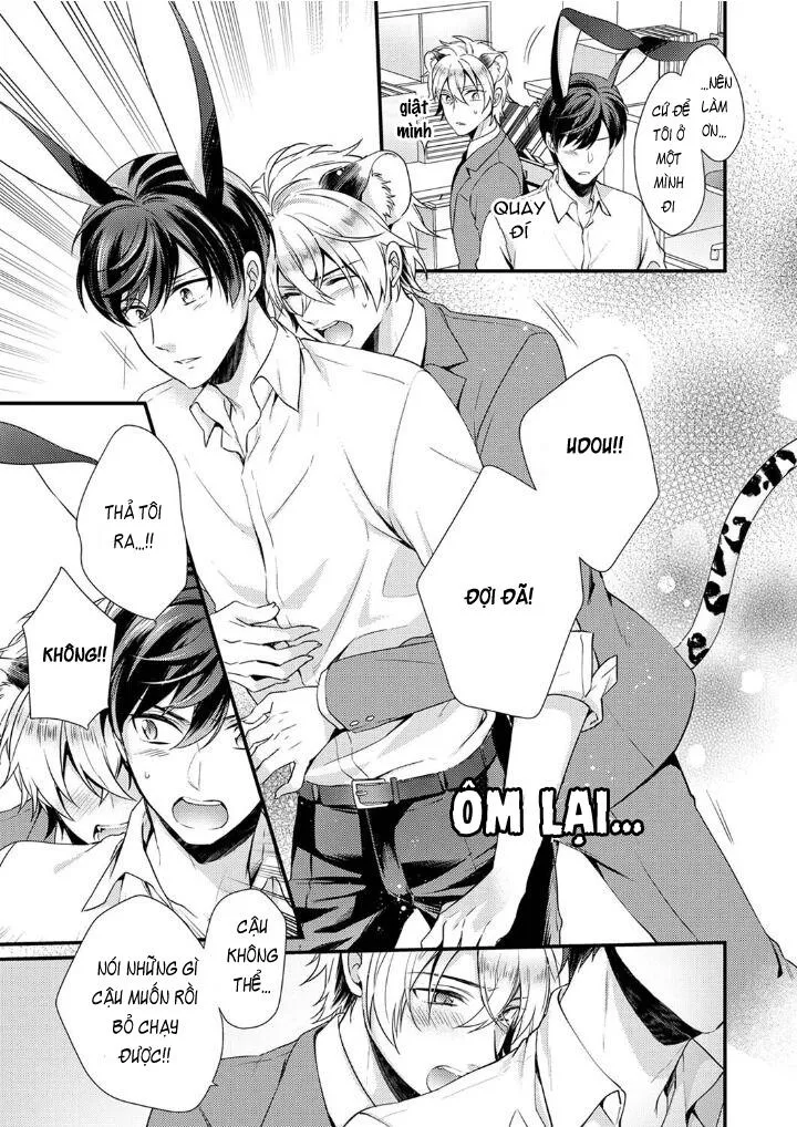 Tôi Không Thể Tin Được Tôi Bị Một Con Thỏ Ăn Cỏ Ăn Thịt! Chapter 6 Trang 9