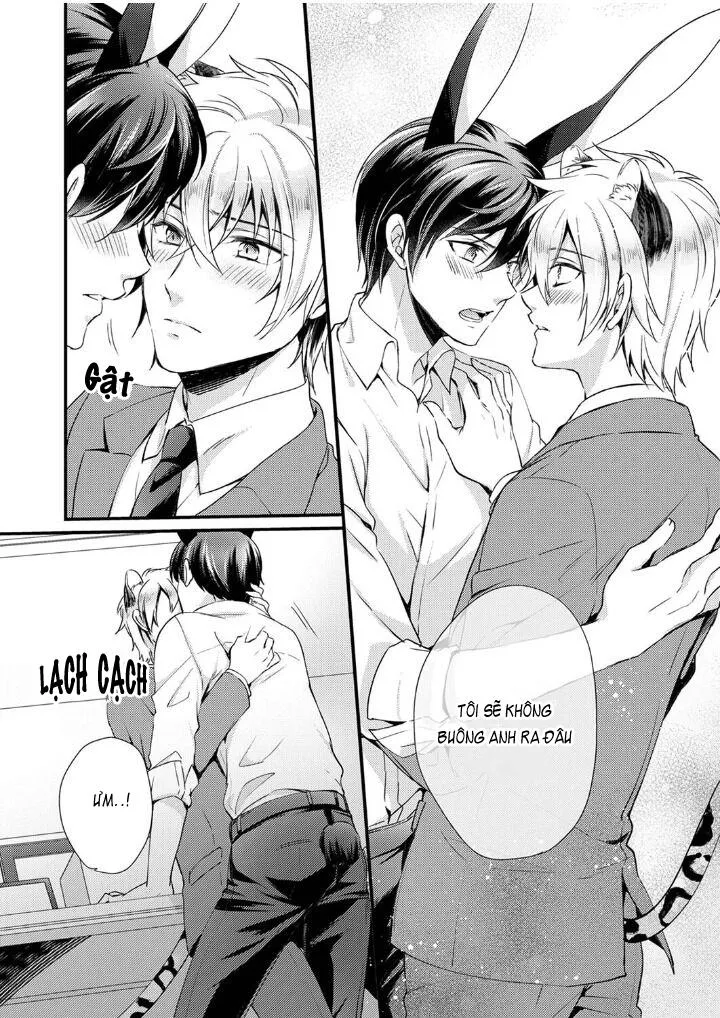 Tôi Không Thể Tin Được Tôi Bị Một Con Thỏ Ăn Cỏ Ăn Thịt! Chapter 6 Trang 14