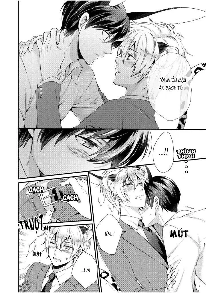 Tôi Không Thể Tin Được Tôi Bị Một Con Thỏ Ăn Cỏ Ăn Thịt! Chapter 6 Trang 16