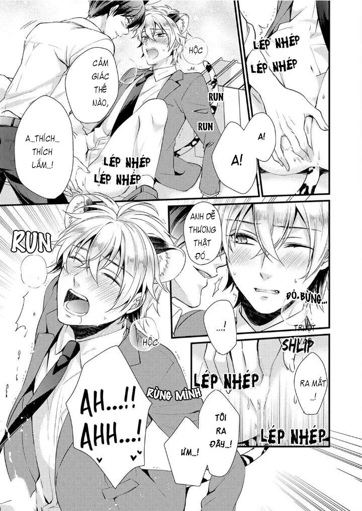 Tôi Không Thể Tin Được Tôi Bị Một Con Thỏ Ăn Cỏ Ăn Thịt! Chapter 6 Trang 17