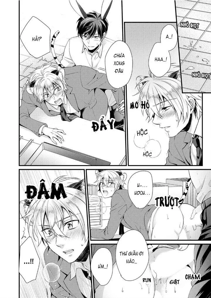 Tôi Không Thể Tin Được Tôi Bị Một Con Thỏ Ăn Cỏ Ăn Thịt! Chapter 6 Trang 18