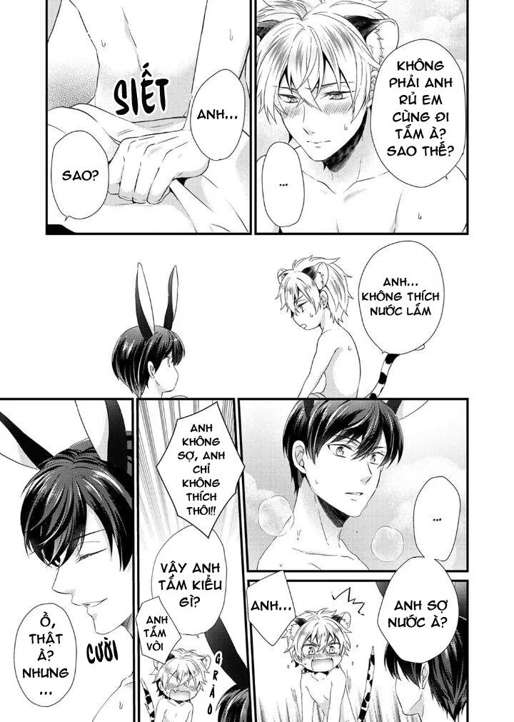 Tôi Không Thể Tin Được Tôi Bị Một Con Thỏ Ăn Cỏ Ăn Thịt! Chapter 7 Trang 5